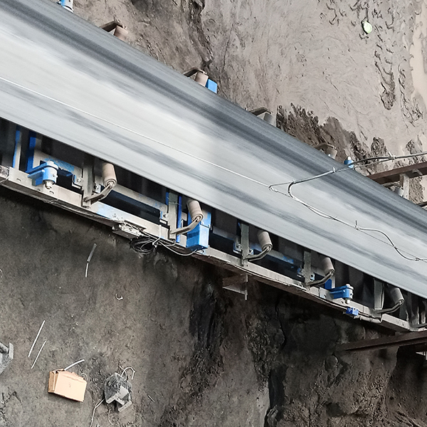 電子皮帶秤構(gòu)成部件發(fā)展趨勢：高可靠性，高精準(zhǔn)度（2）