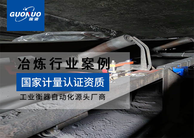 中信梧桐港供應(yīng)鏈/萬瑞碳素皮帶秤項目