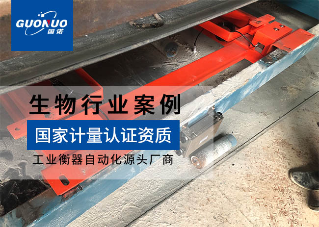 天津市太和實驗室設備皮帶秤項目