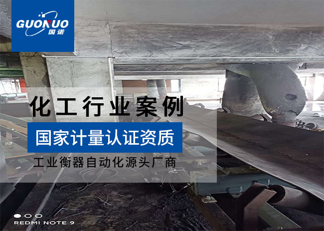 廣東思新ICS-14型皮帶秤項目