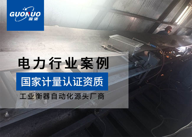 國信生物質(zhì)發(fā)電項目皮帶秤案例