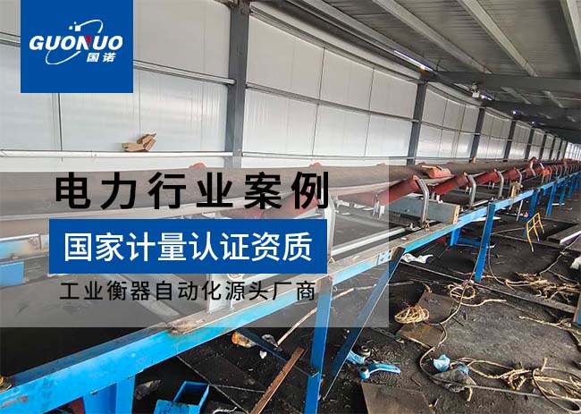 國禎美潔生物質(zhì)熱電皮帶秤案例