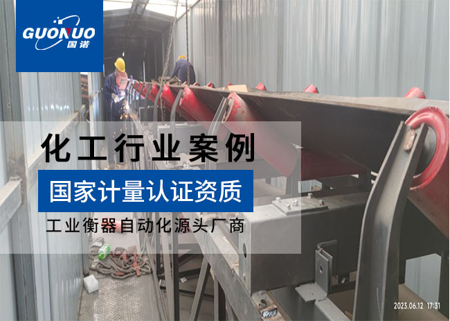 艾浦生再生新材料皮帶秤項(xiàng)目