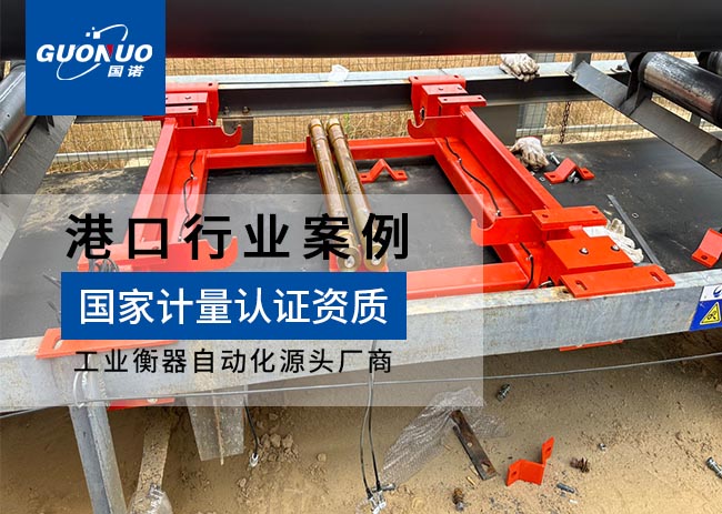 廬山國控港務(wù)高精度電子皮帶秤項目