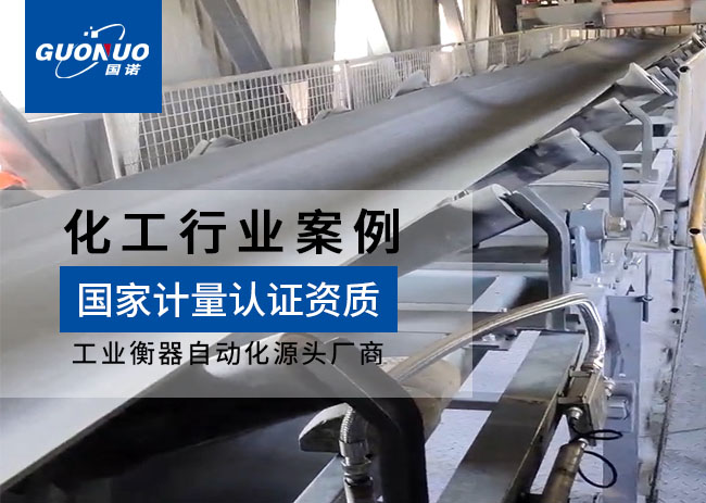 甘肅金泥干法乙炔皮帶秤項(xiàng)目