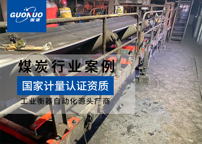 渦陽洗煤廠ICS-30電子皮帶秤項目