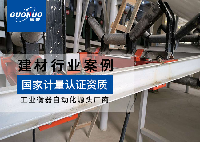 海螺水泥廠(chǎng)單組高精度皮帶秤項(xiàng)目