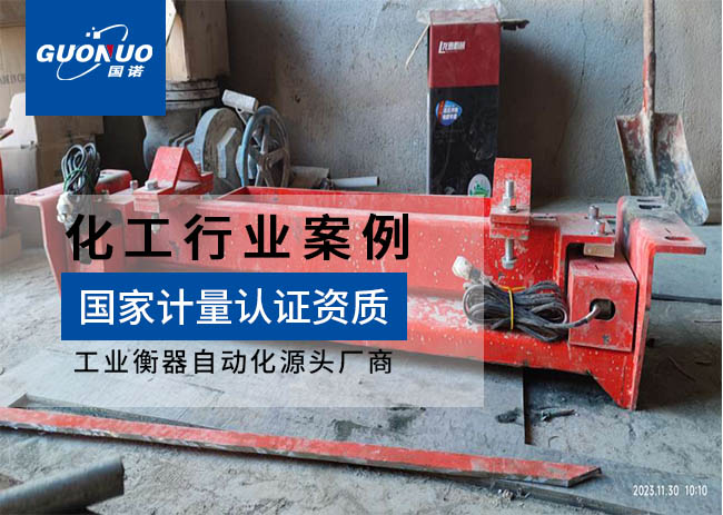 山西中石鼎鑫新材料高精度電子皮帶秤項(xiàng)目