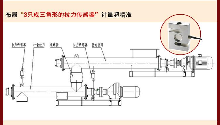技術(shù)為先，國諾信科為廣大用戶提供高性能螺旋計(jì)量稱
